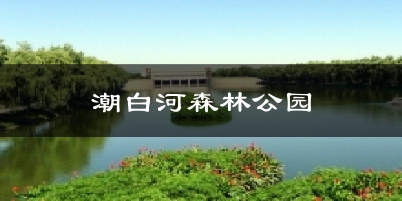 潮白河森林公园气温