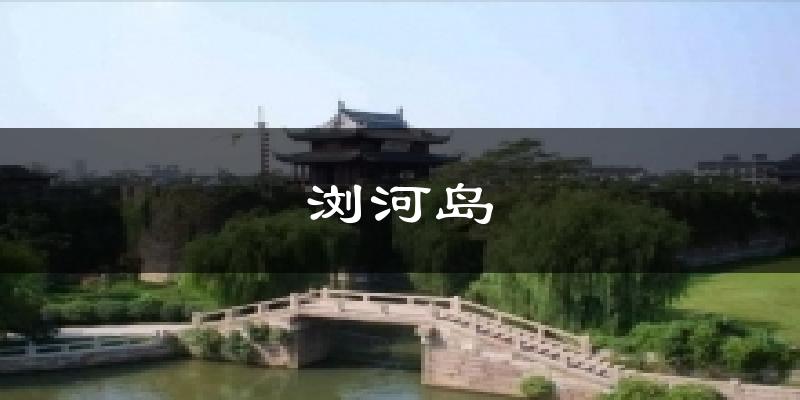 浏河岛天气未来15天