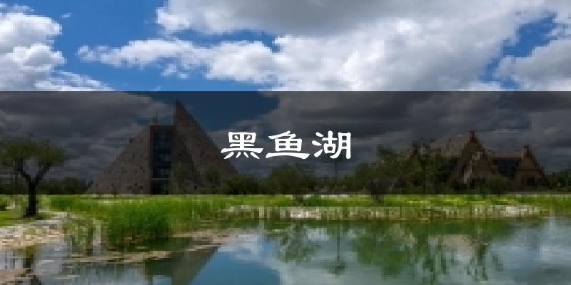 黑鱼湖天气未来15天