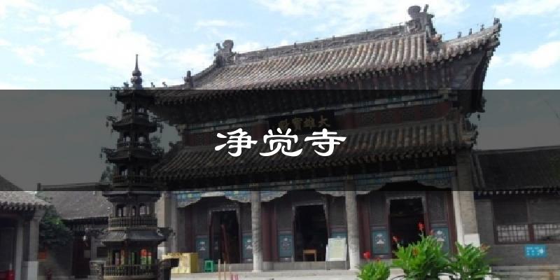 净觉寺今日天气
