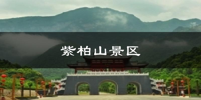 紫柏山景区今日天气