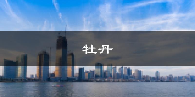 菏泽牡丹天气预报未来一周