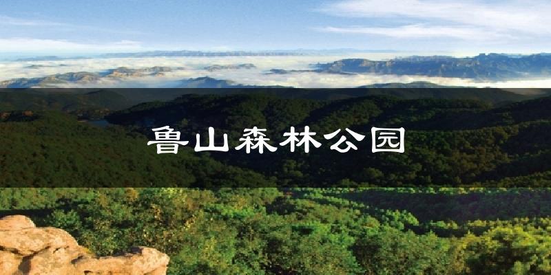鲁山森林公园气温