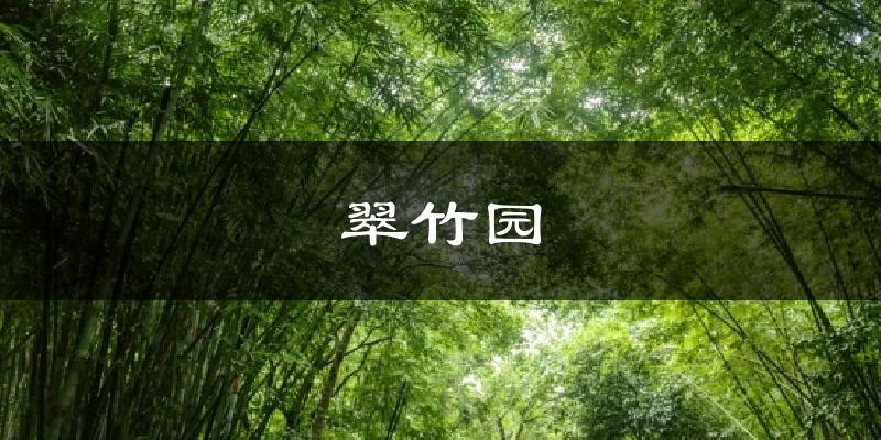 翠竹园今日天气