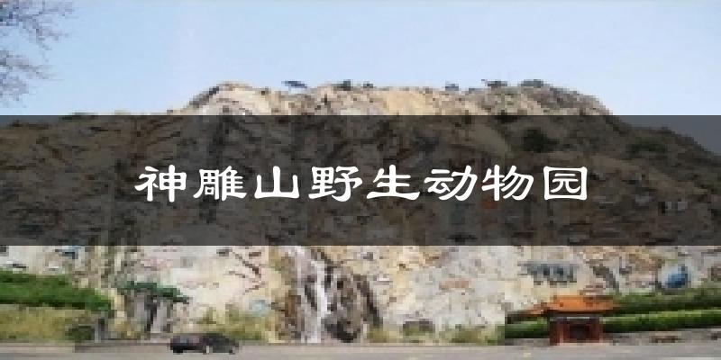 神雕山野生动物园今日天气