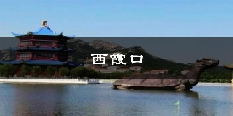 西霞口今日天气
