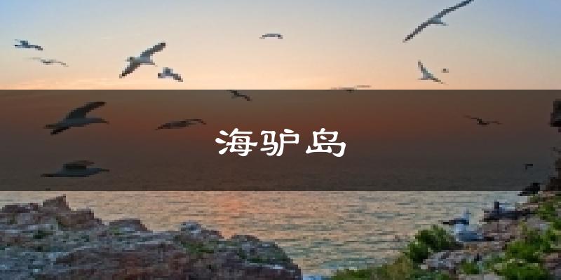 海驴岛今日天气
