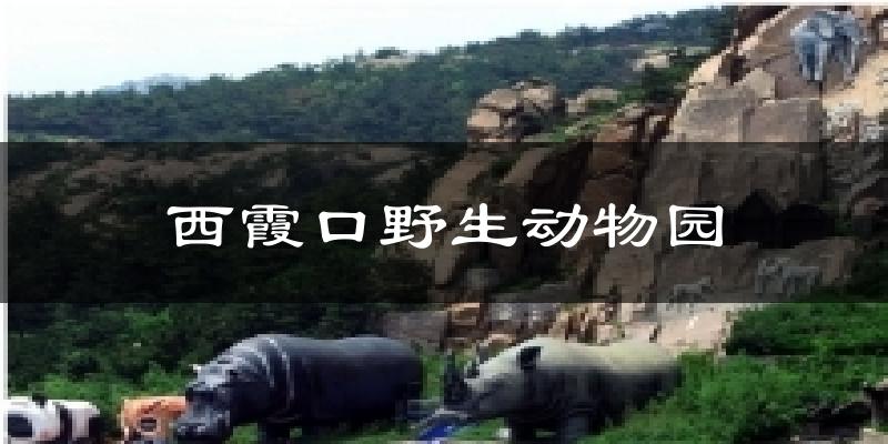 西霞口野生动物园今日天气