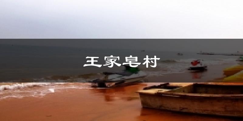 王家皂村今日天气