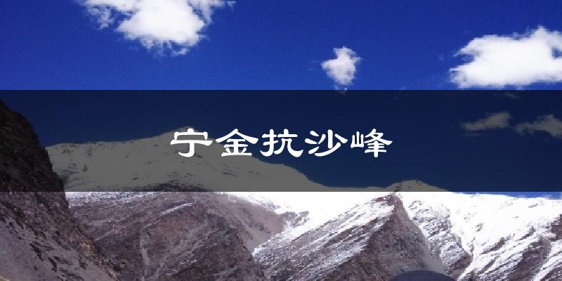 宁金抗沙峰气温