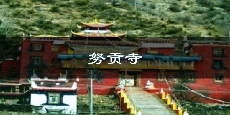 努贡寺气温