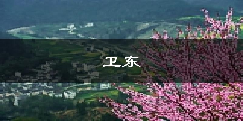 平顶山卫东天气预报未来一周