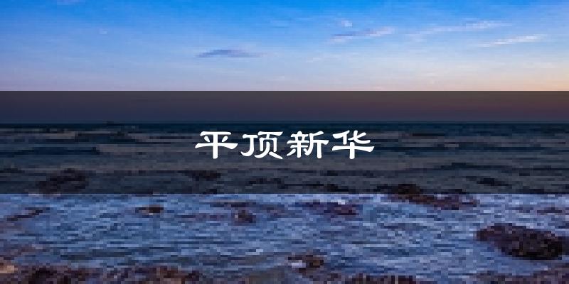平顶山平顶新华天气预报未来一周