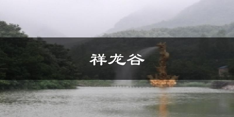 祥龙谷气温