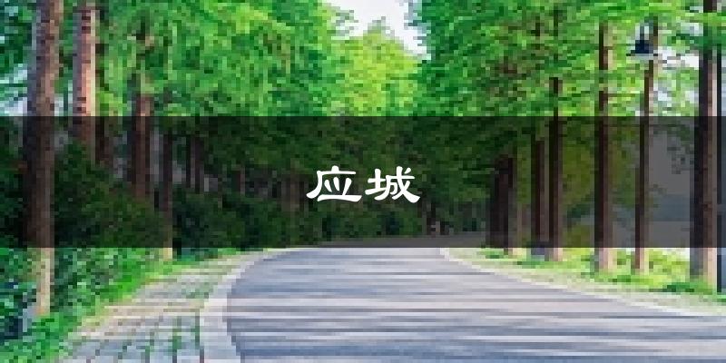 应城天气预报未来一周