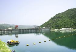 十堰张湾天气未来15天