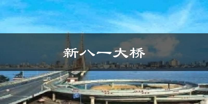 新八一大桥气温
