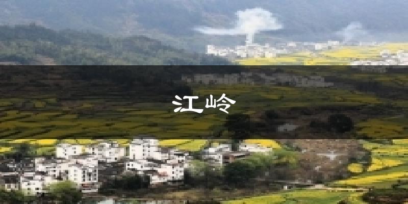 江岭今日天气