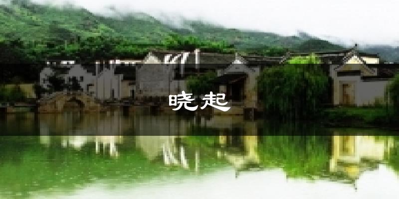 晓起气温