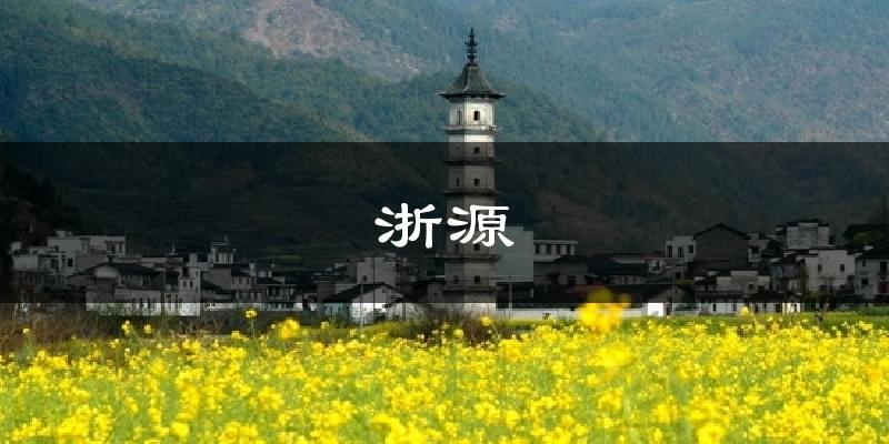 浙源气温