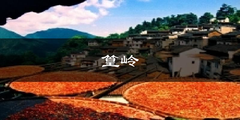 篁岭气温