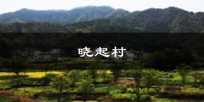 晓起村气温