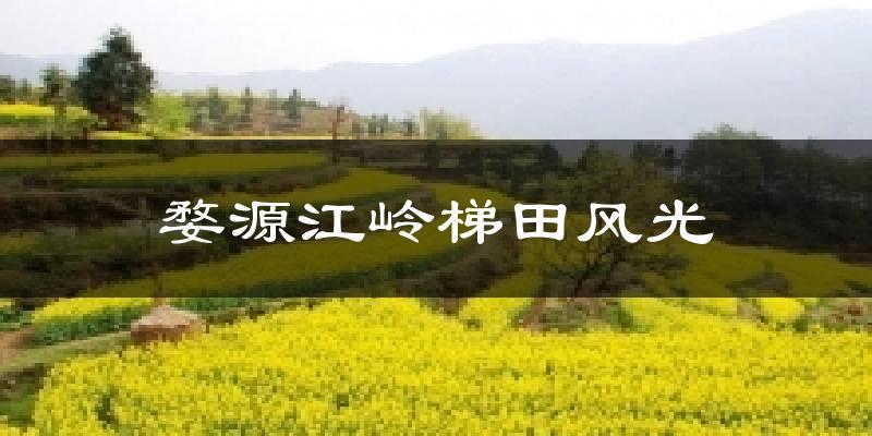 婺源江岭梯田风光今日天气
