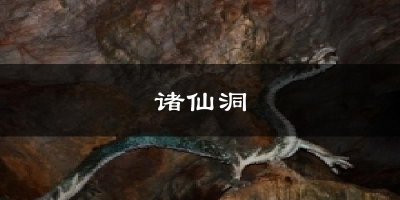 诸仙洞今日天气