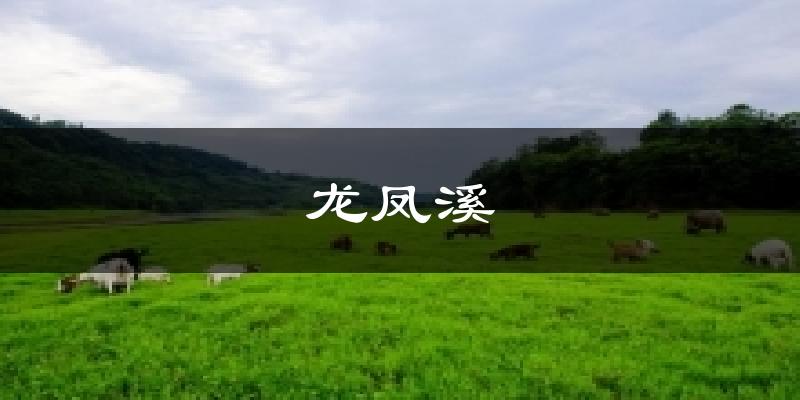 龙凤溪气温