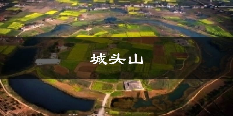 城头山今日天气