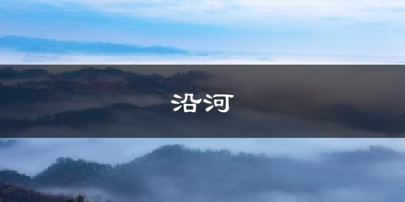沿河天气预报未来一周