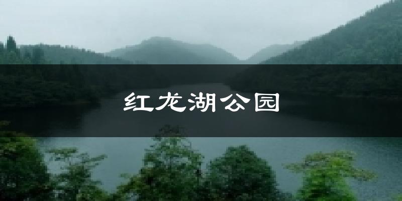 红龙湖公园今日天气
