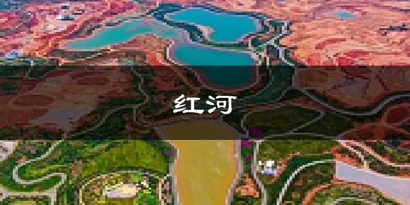 红河天气预报未来一周