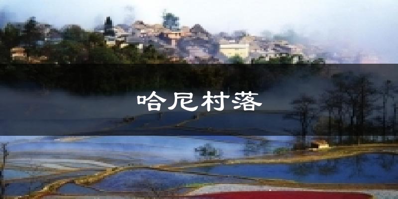 哈尼村落气温