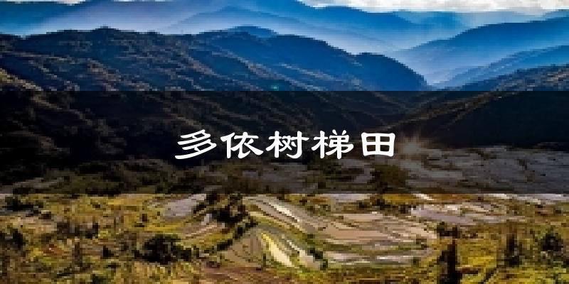 多依树梯田气温