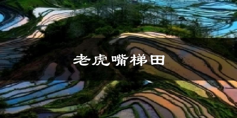 老虎嘴梯田气温