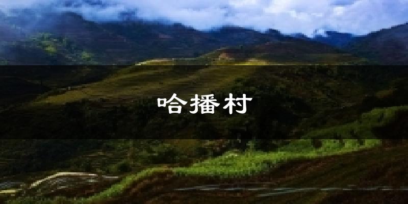 哈播村气温