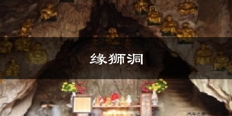 缘狮洞今日天气