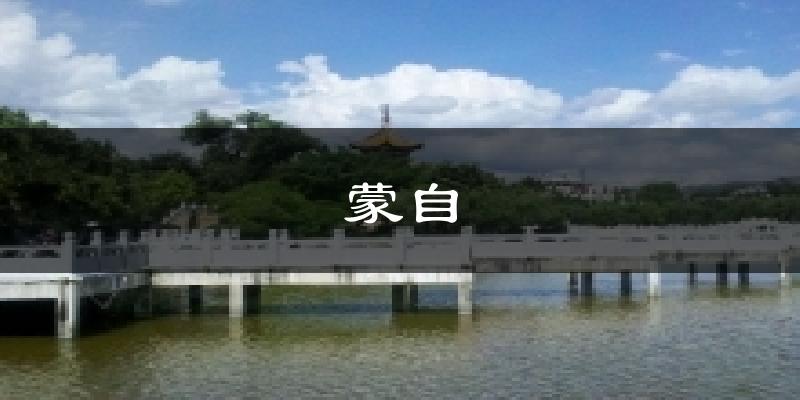 蒙自今日天气