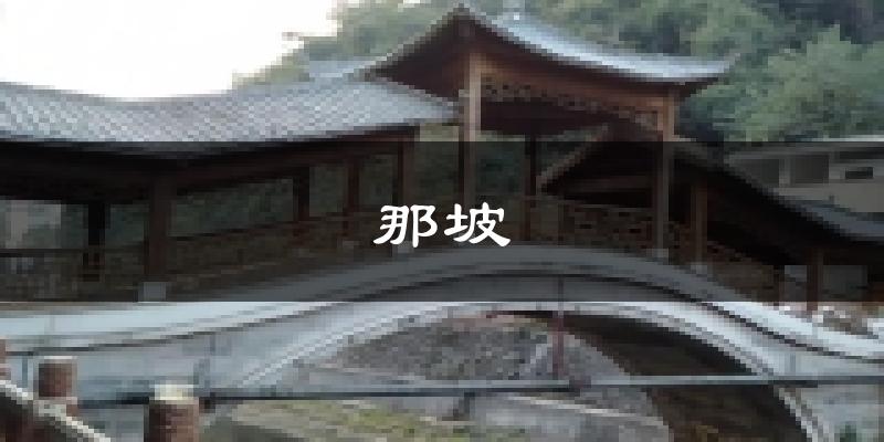 那坡天气预报未来一周