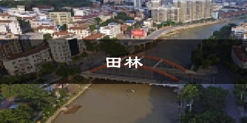 田林天气预报未来一周