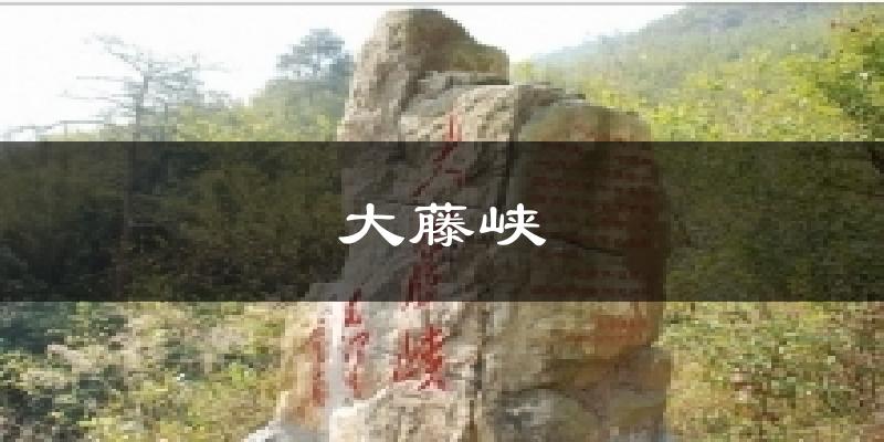 大藤峡气温
