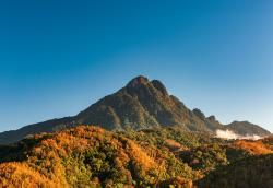 五指山天气未来15天