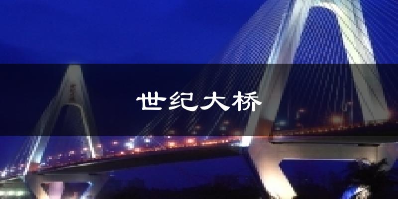 世纪大桥气温