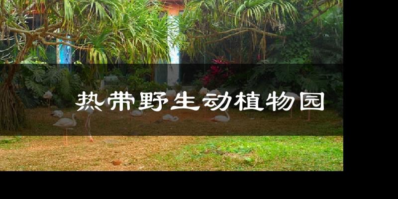 热带野生动植物园气温